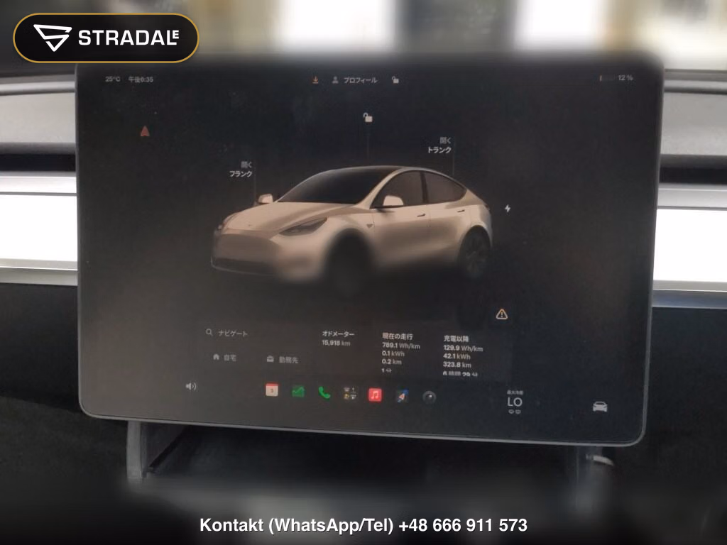 TESLA MODEL Y RWD, miniaturka 7