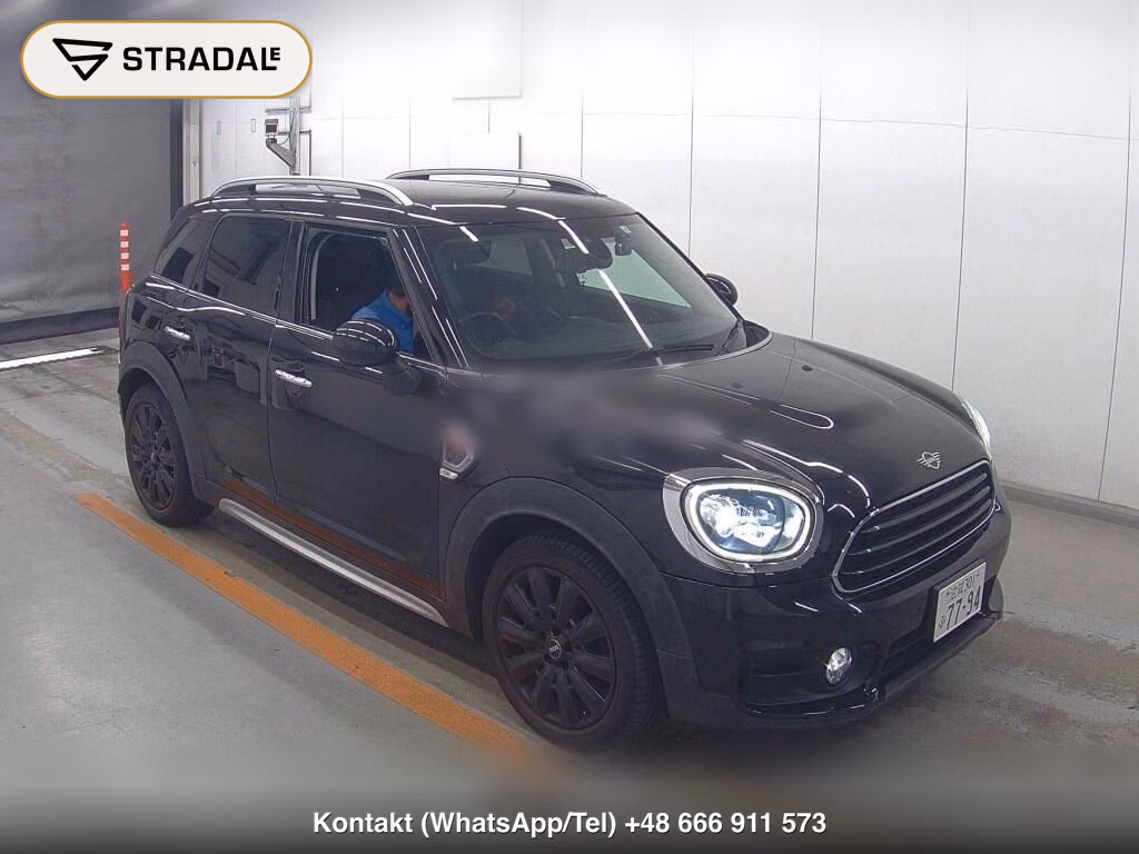 MINI MINI 5D OTHERS 2019, aukcja z Japonii, zdjęcie 1