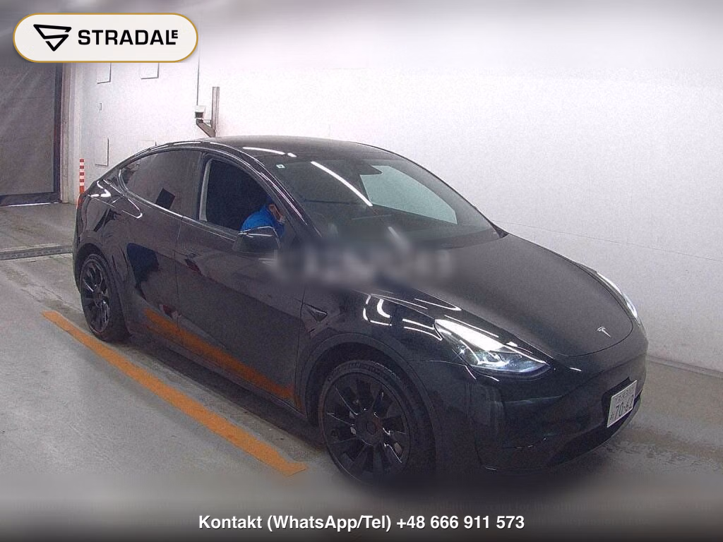 TESLA MODEL Y RWD, miniaturka 2