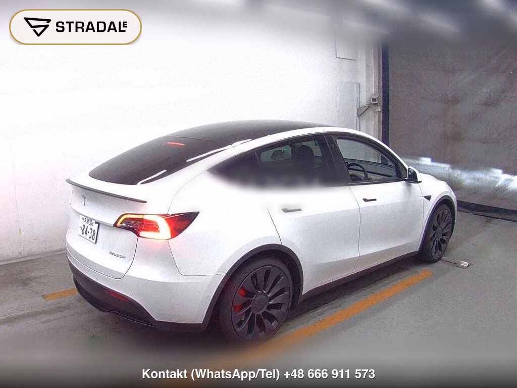 TESLA MODEL Y 4WD PERFORMANCE, miniaturka 6