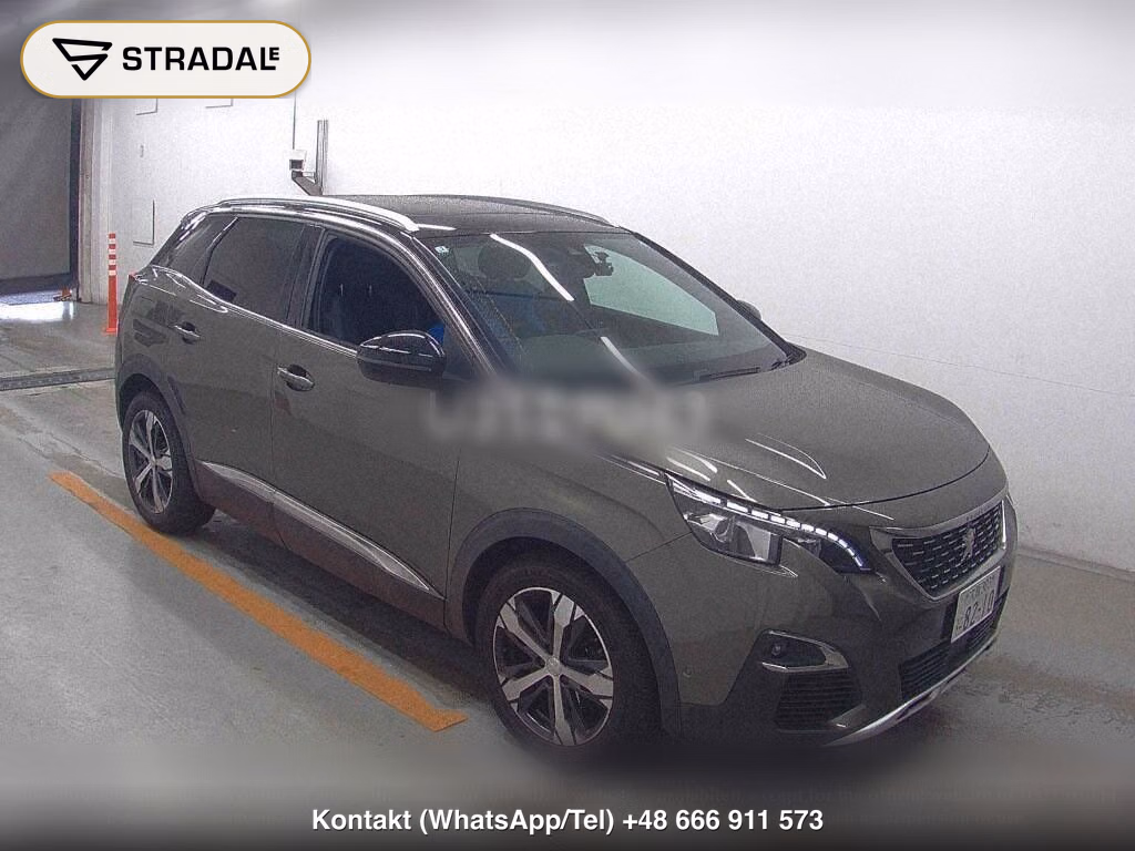 PEUGEOT SUV 3008 OTHERS, miniaturka 2