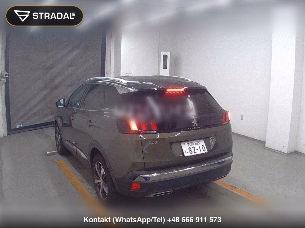 PEUGEOT SUV 3008 OTHERS, miniaturka 3