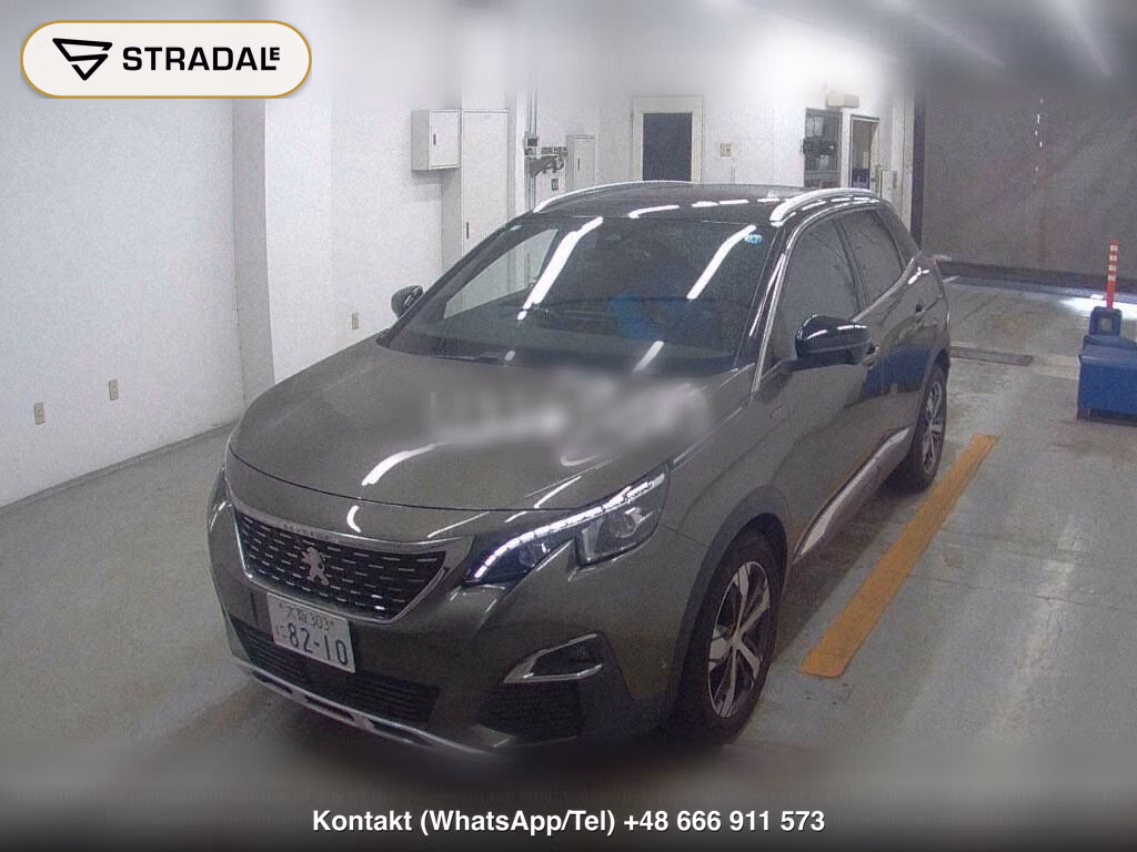 PEUGEOT SUV 3008 OTHERS, miniaturka 5