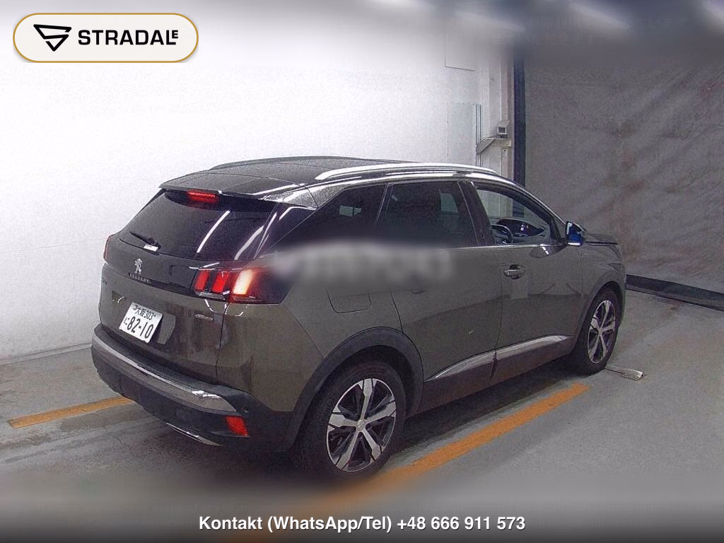 PEUGEOT SUV 3008 OTHERS, miniaturka 6