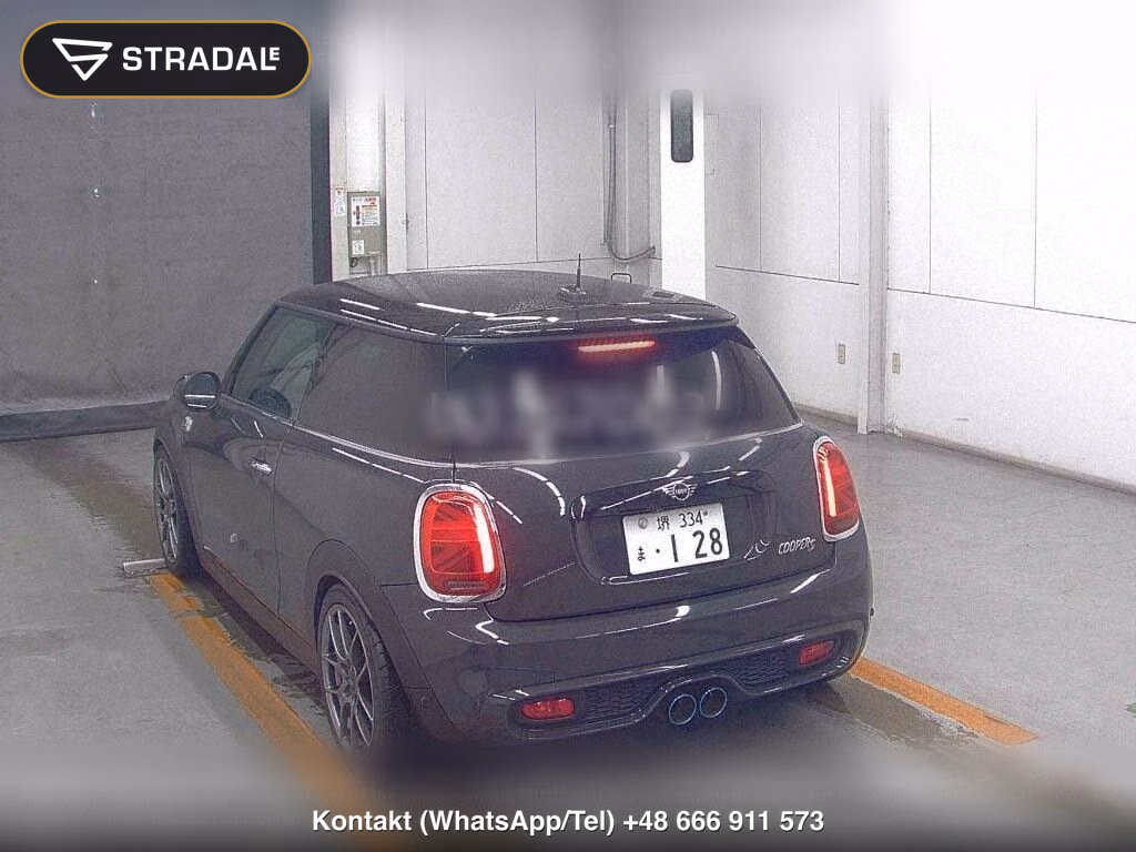 MINI MINI 3D COOPER S, miniaturka 3