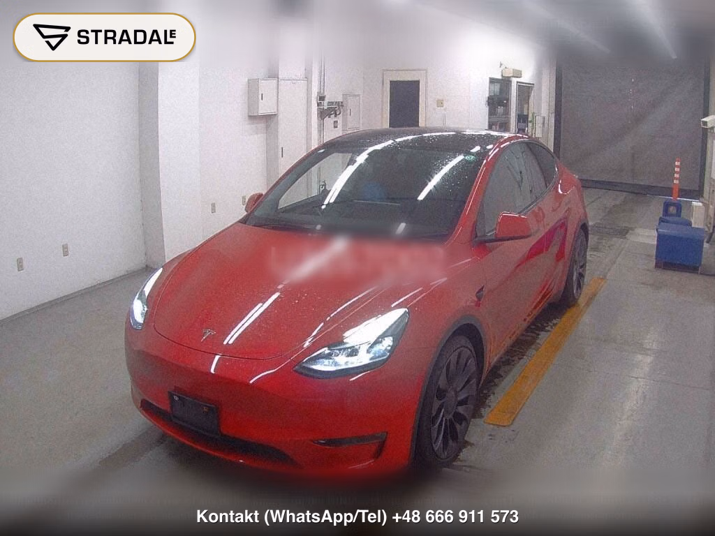 TESLA MODEL Y 4WD PERFORMANCE, miniaturka 5