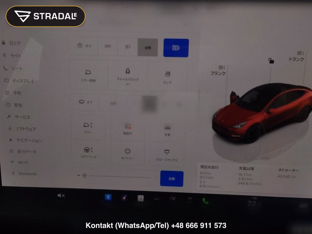 TESLA MODEL Y 4WD PERFORMANCE, miniaturka 7