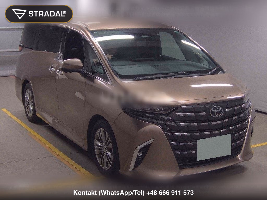 TOYOTA ALPHARD Z, miniaturka 2