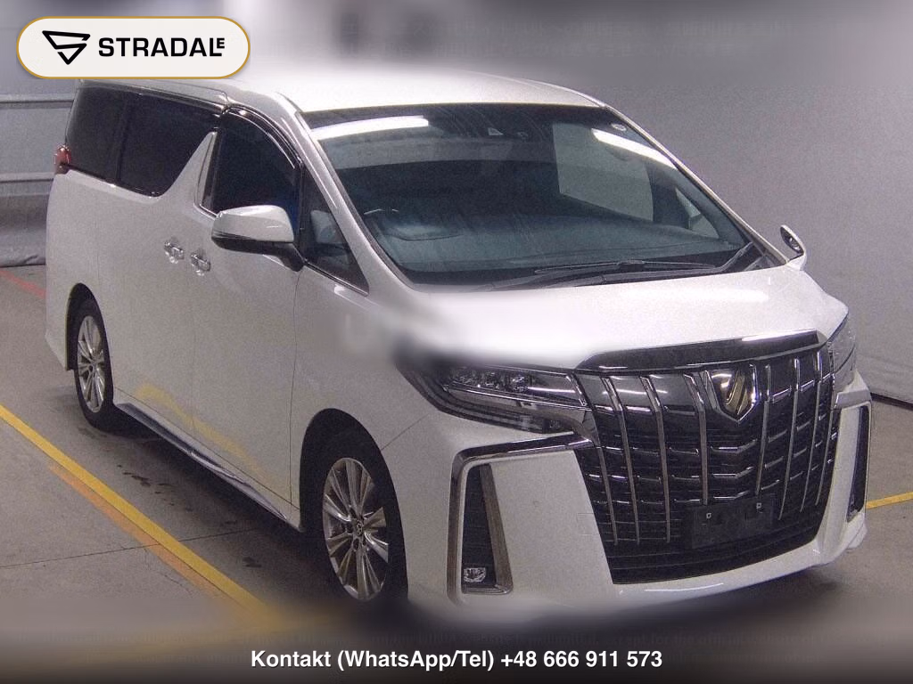 TOYOTA ALPHARD 2.5S TYPE GOLD, miniaturka 2