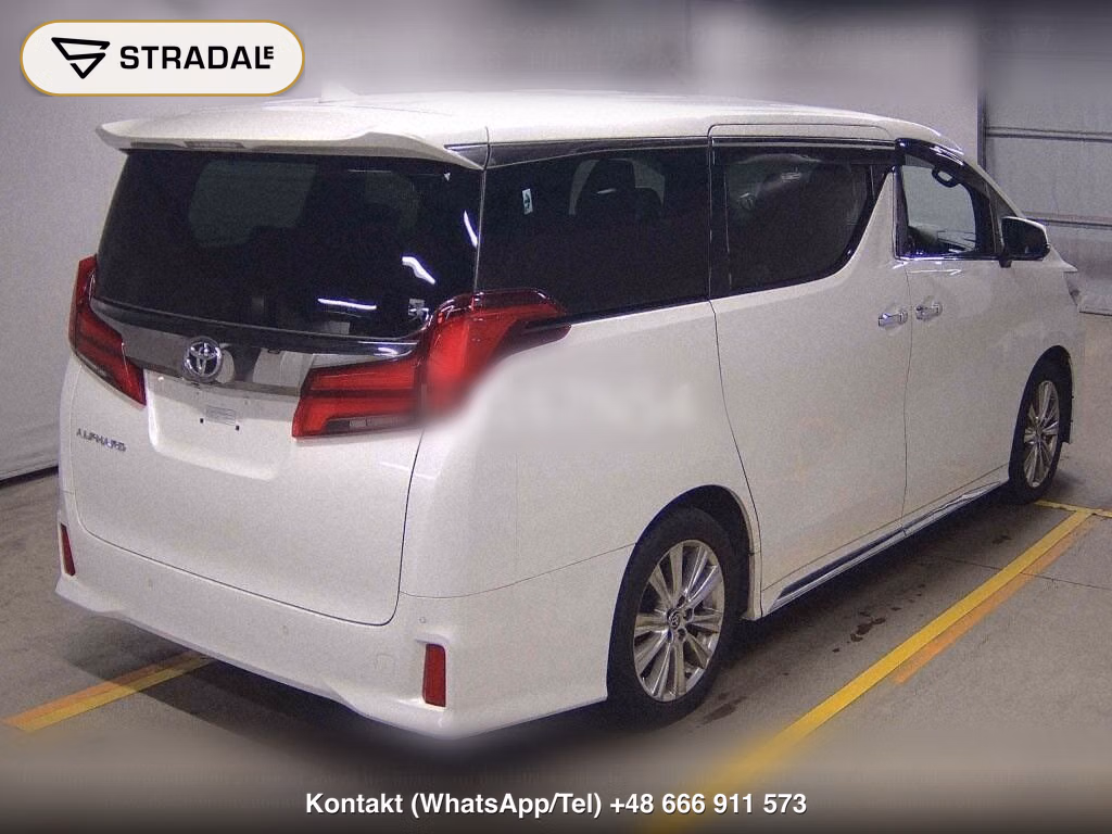 TOYOTA ALPHARD 2.5S TYPE GOLD, miniaturka 6