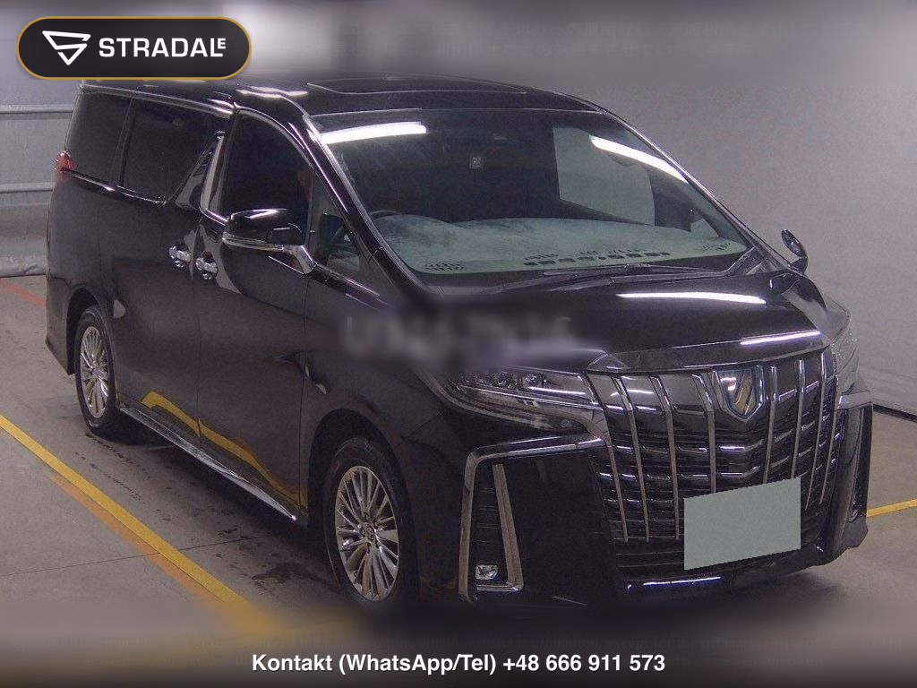 TOYOTA ALPHARD HYBRID 4WD S TYPE GOLDⅡ, miniaturka 2
