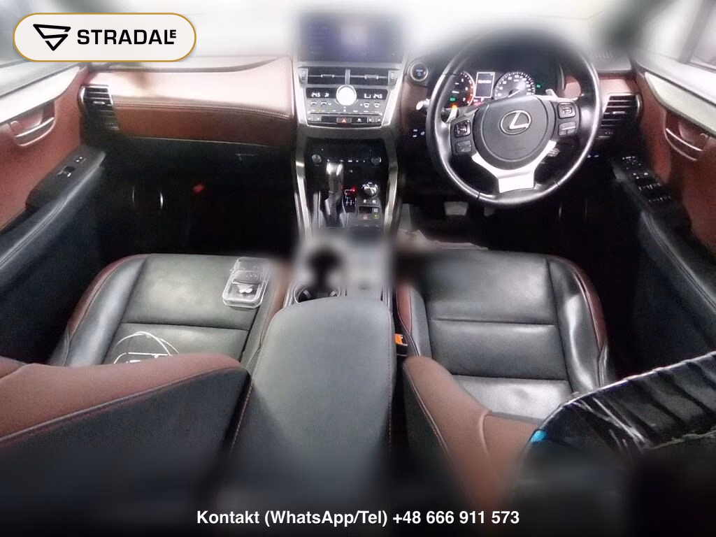 LEXUS NX NX300H SPECIAL EDITION SPICE AND CHIC, miniaturka 4