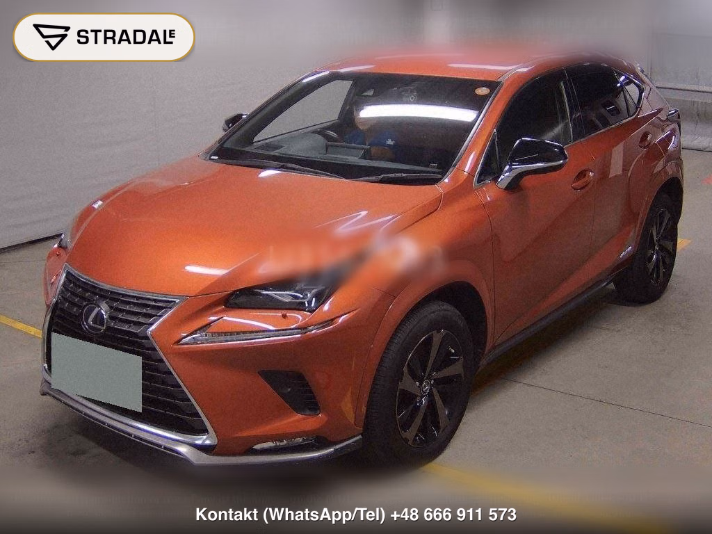 LEXUS NX NX300H SPECIAL EDITION SPICE AND CHIC, miniaturka 5