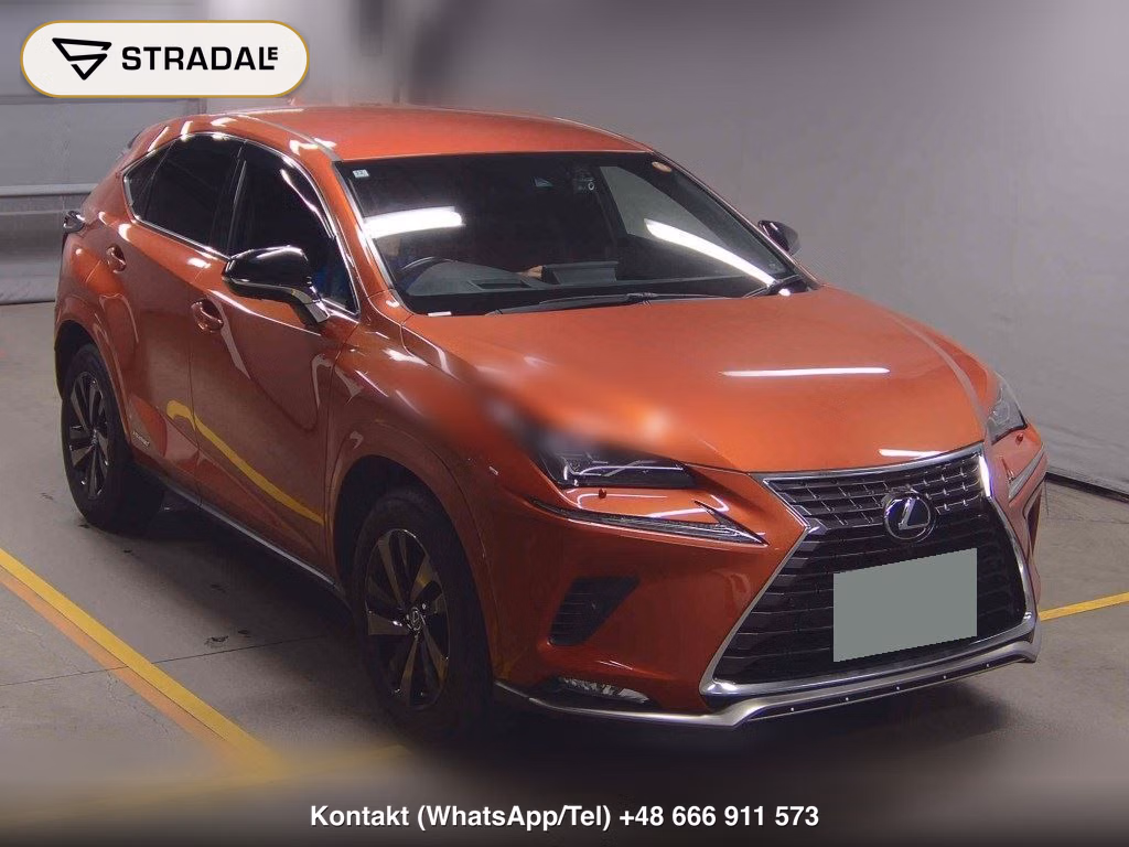 LEXUS NX NX300H SPECIAL EDITION SPICE AND CHIC 2020, aukcja z Japonii, zdjęcie 1