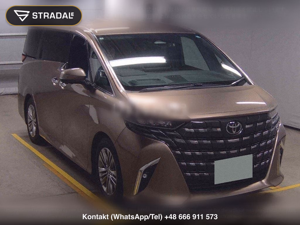 TOYOTA ALPHARD Z, miniaturka 2