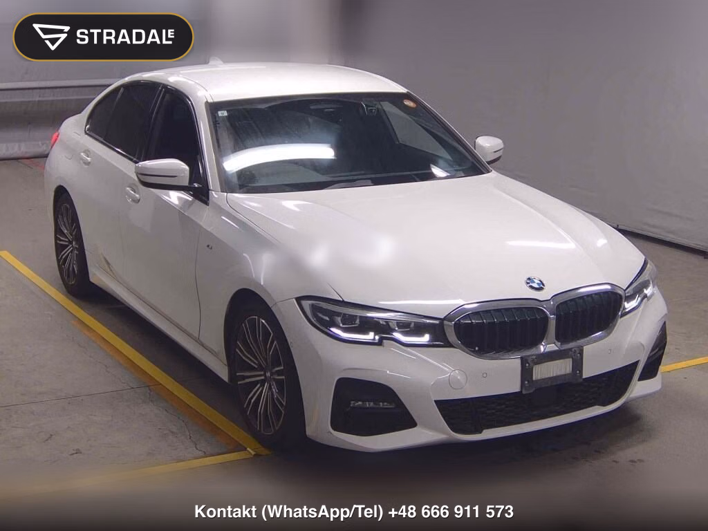 BMW 3 SERIES 4D OTHERS 2019, aukcja z Japonii, zdjęcie 1