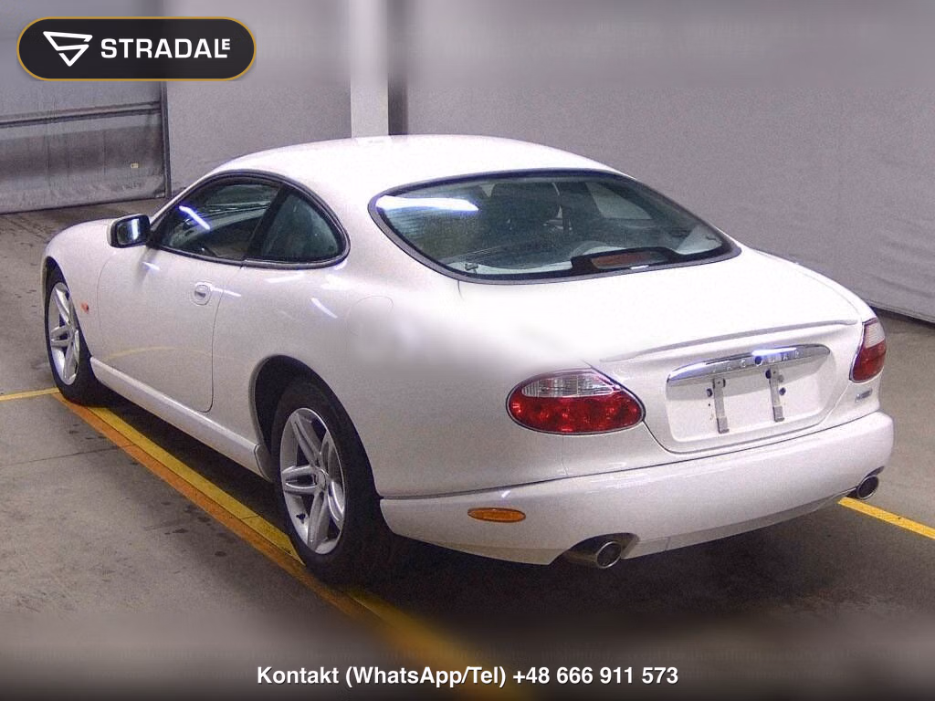 JAGUAR XK CP, miniaturka 3