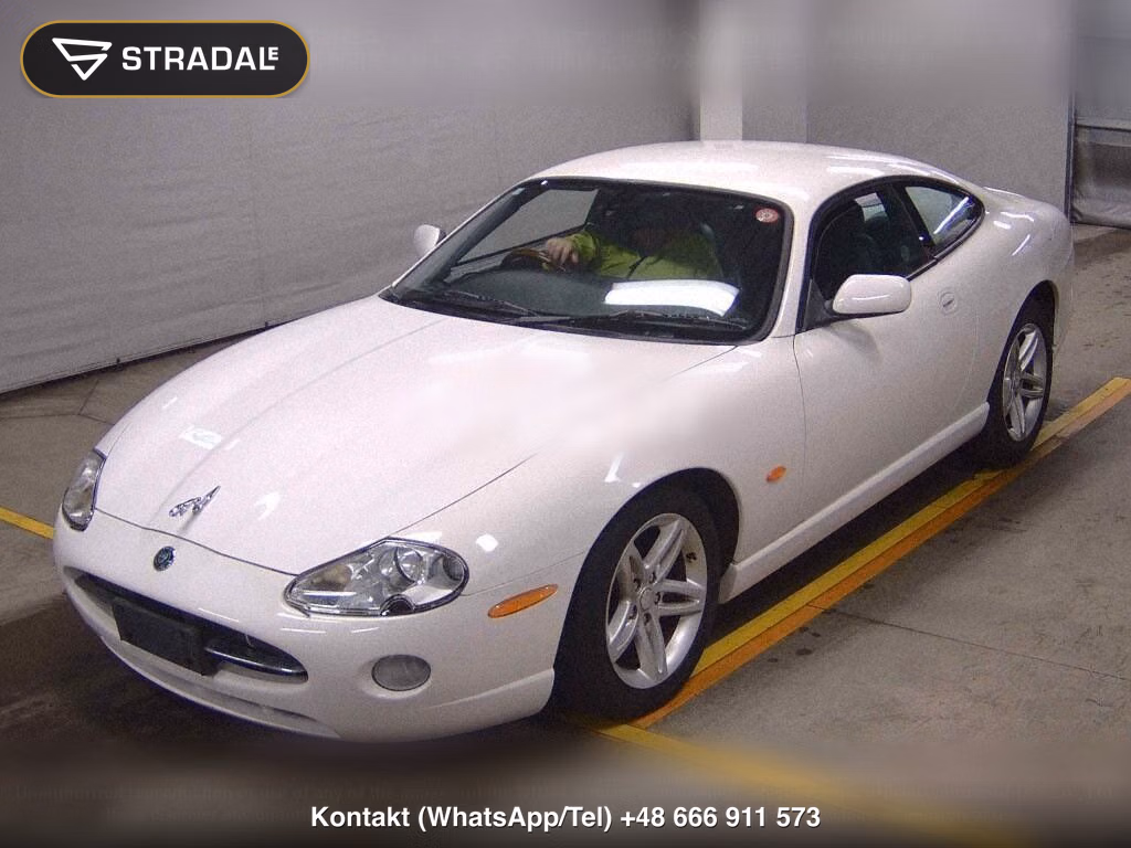 JAGUAR XK CP, miniaturka 5