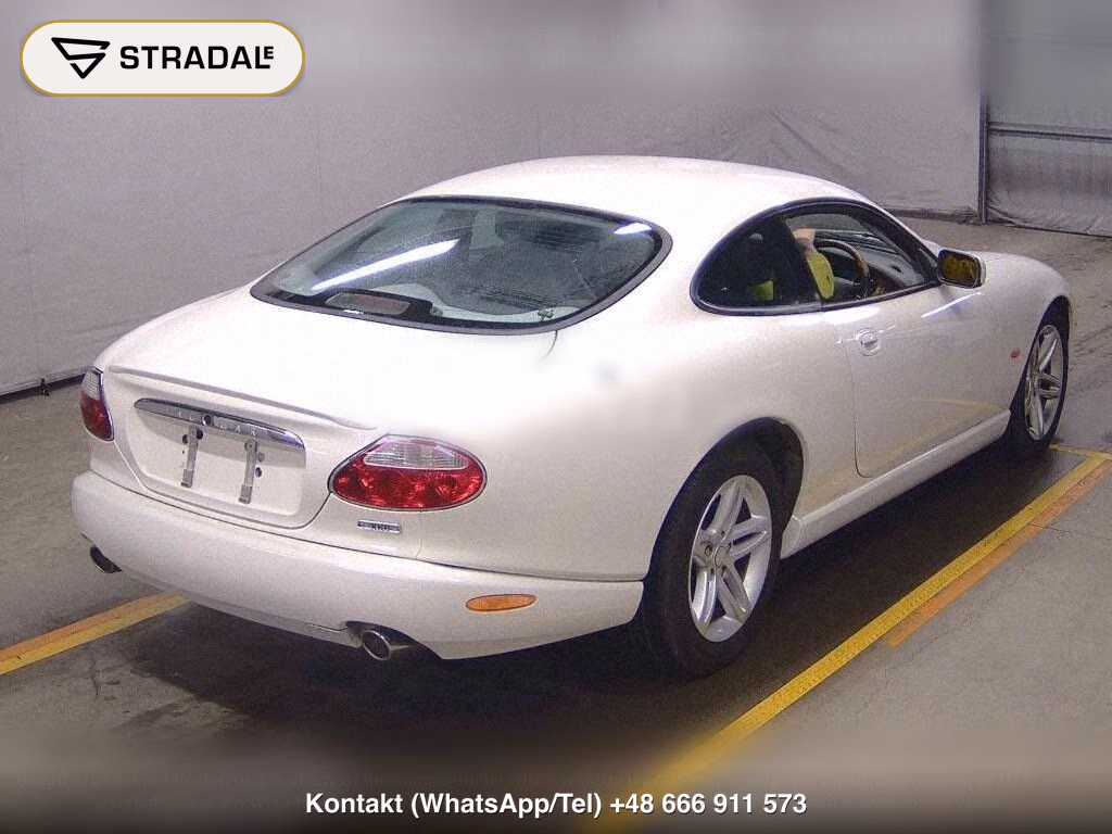 JAGUAR XK CP, miniaturka 6