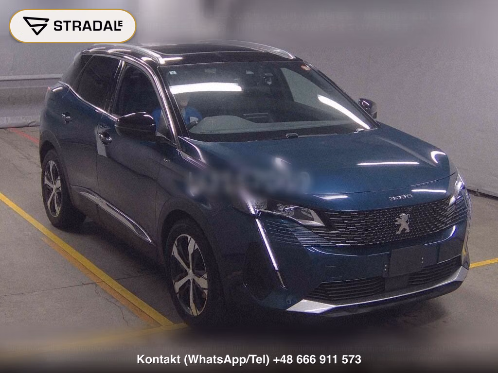 PEUGEOT 3008 OTHERS, miniaturka 2