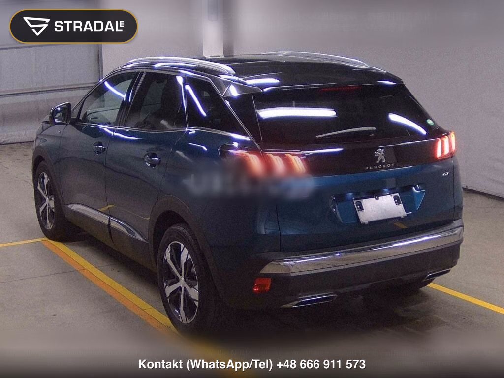 PEUGEOT 3008 OTHERS, miniaturka 3
