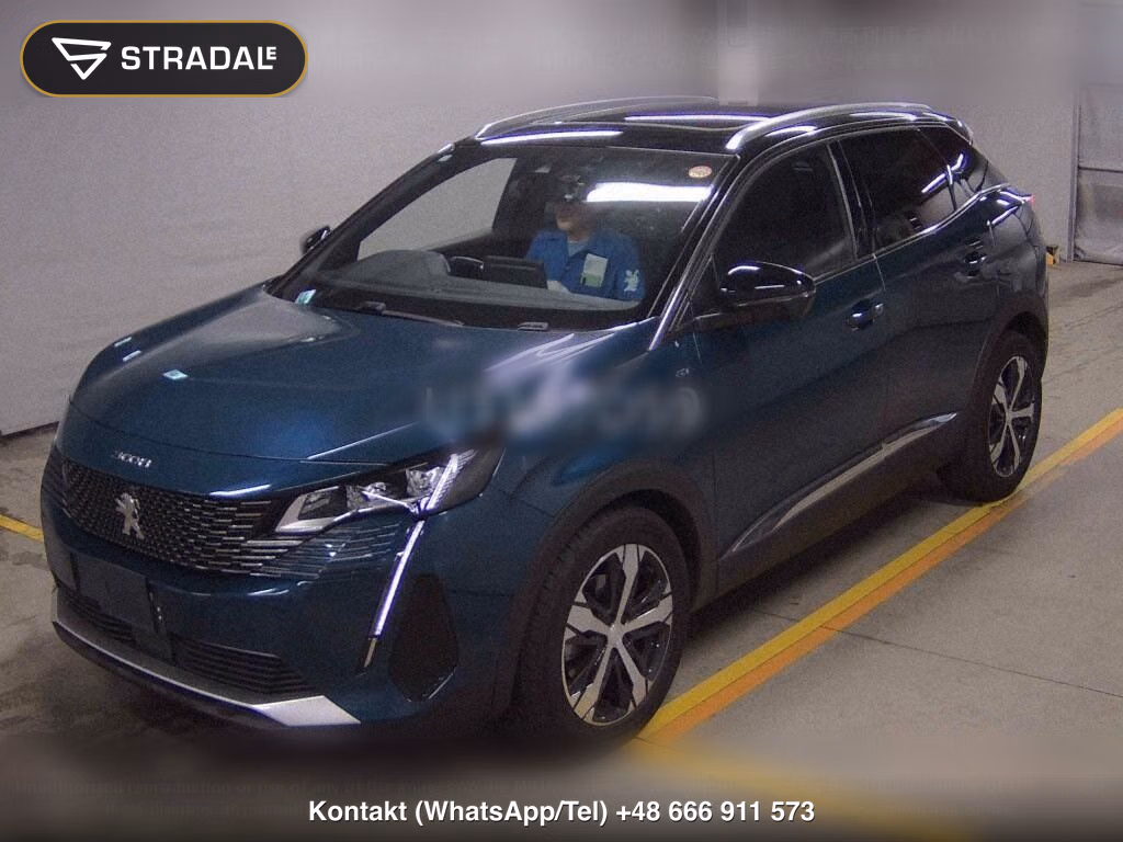 PEUGEOT 3008 OTHERS, miniaturka 5
