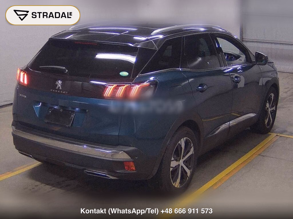 PEUGEOT 3008 OTHERS, miniaturka 6