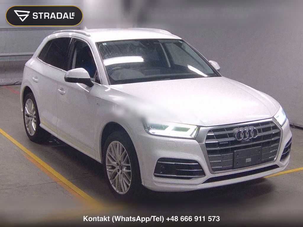 AUDI Q5 4WD 2.0TFSI QUATTRO 1ST EDITION, miniaturka 2