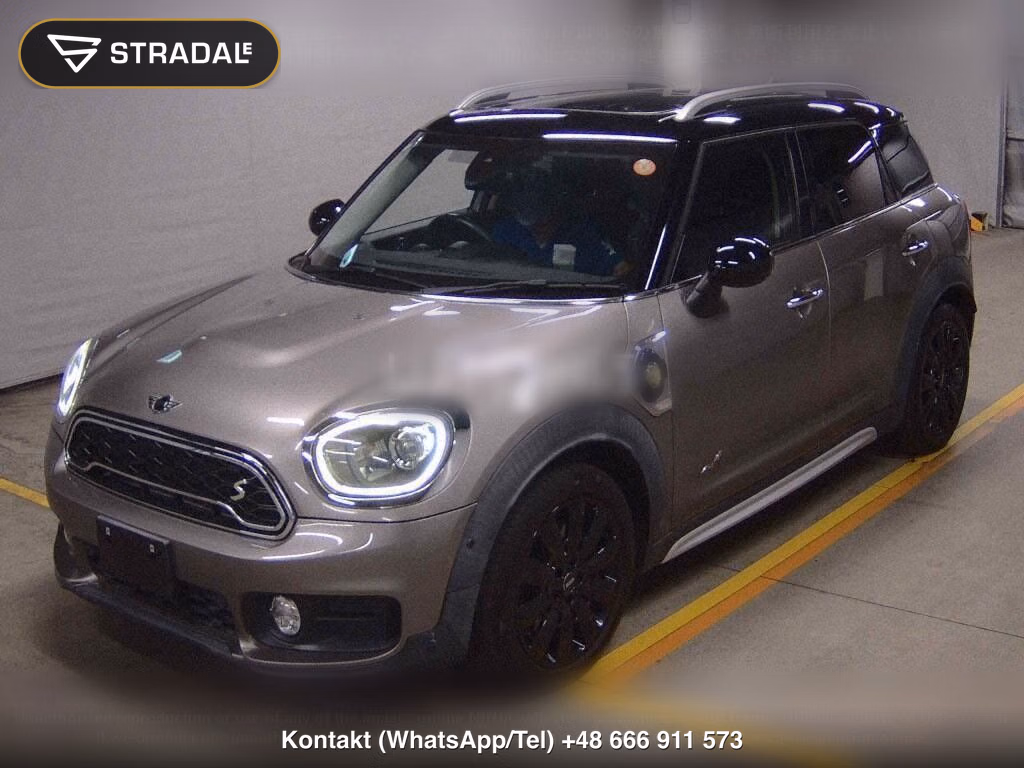 MINI MINI 5D 4WD COOPER SE CROSSOVER ALL 4, miniaturka 5