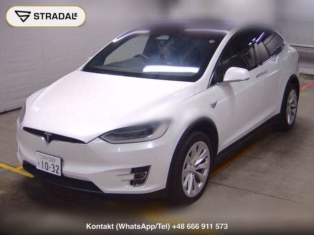 TESLA MODEL X 4WD 100D, miniaturka 5