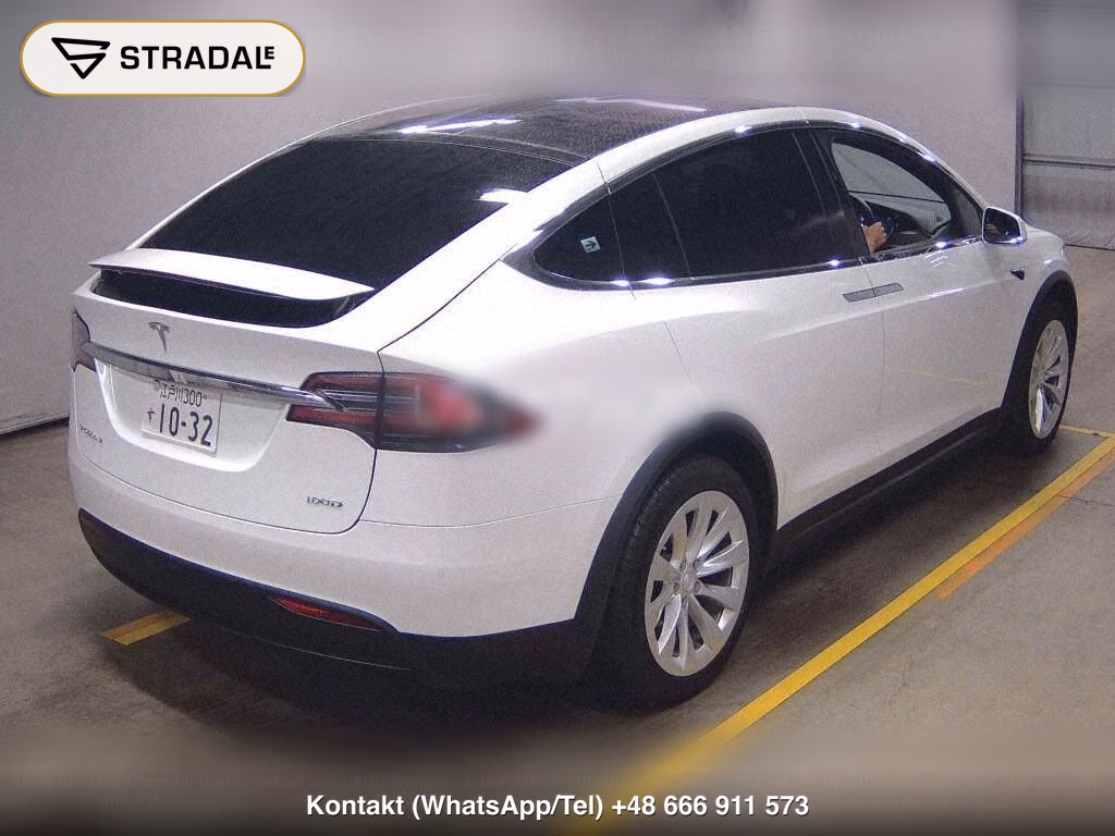 TESLA MODEL X 4WD 100D, miniaturka 6