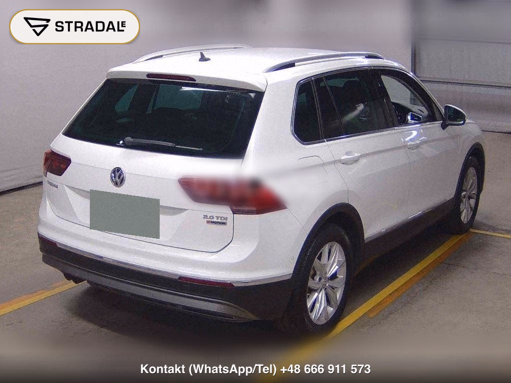 VOLKSWAGEN TIGUAN 4WD TDI 4MOTION HIGH LINE, miniaturka 6