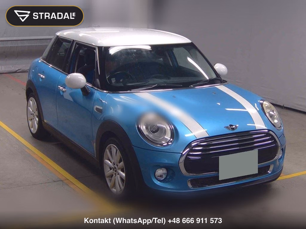 MINI MINI 5D OTHERS 2016, aukcja z Japonii, zdjęcie 1