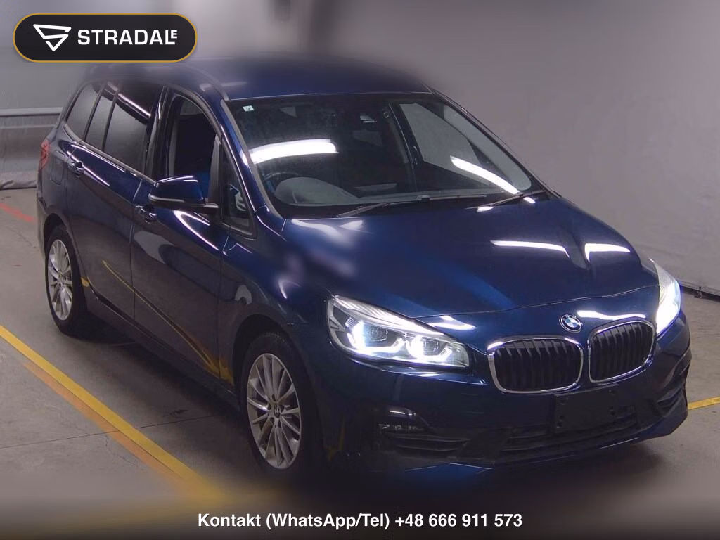 BMW 2 SERIES 5D OTHERS 2019, aukcja z Japonii, zdjęcie 1