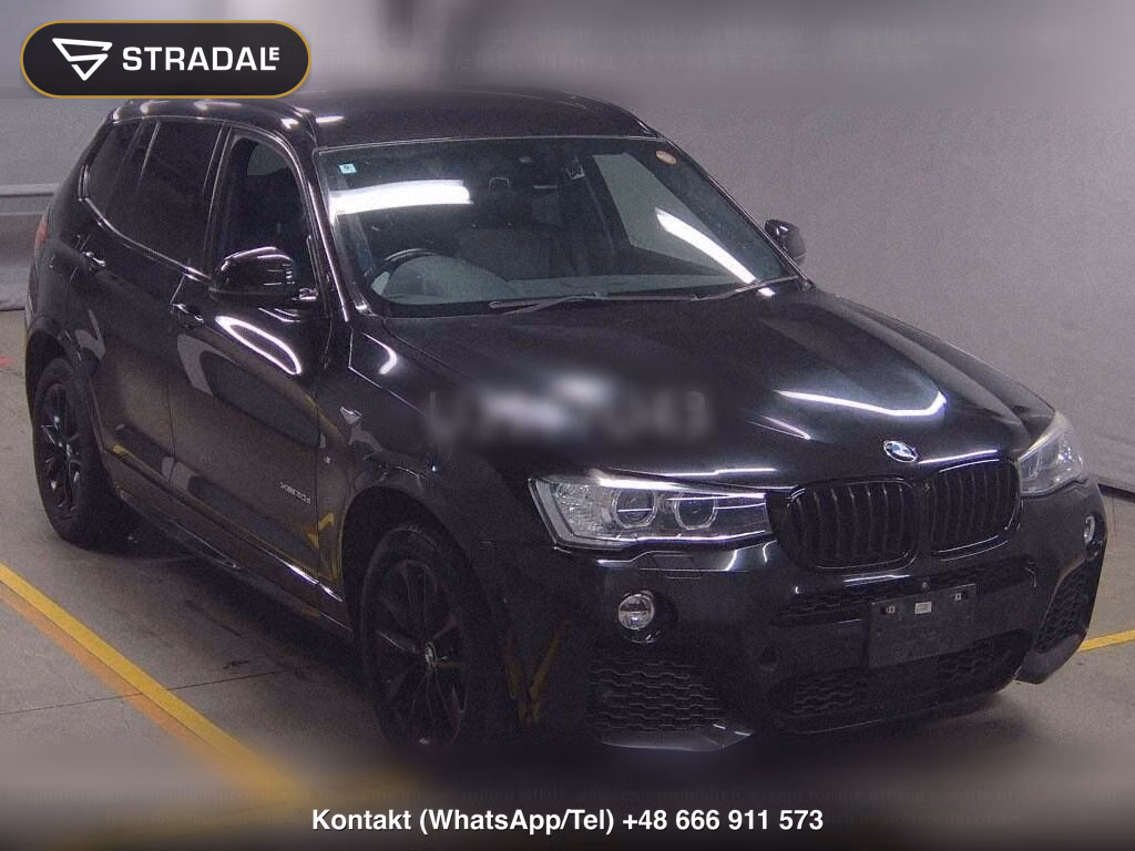 BMW X3 4WD CELEBRATION EDITION BLACK OUT, miniaturka 2
