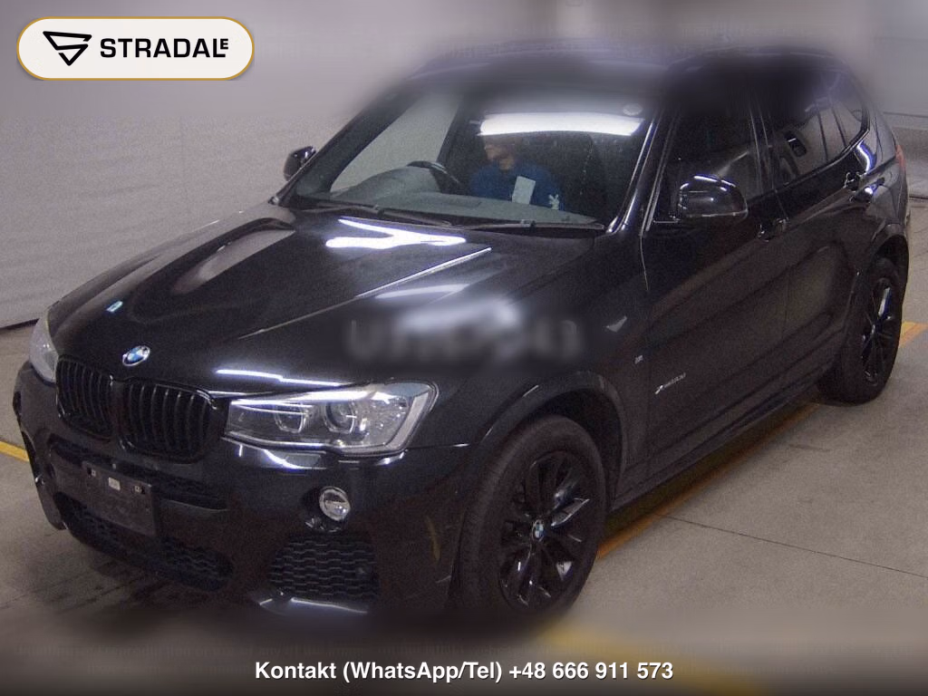 BMW X3 4WD CELEBRATION EDITION BLACK OUT, miniaturka 5