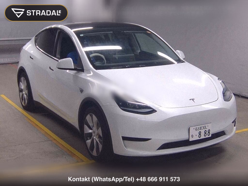 TESLA MODEL Y RWD, miniaturka 2