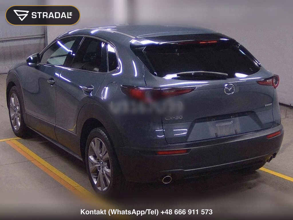 MAZDA CX-30 20S PROACTIVE TOURING SELECTION, miniaturka 3