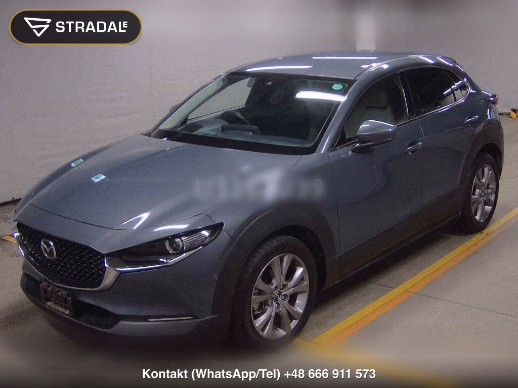 MAZDA CX-30 20S PROACTIVE TOURING SELECTION, miniaturka 5