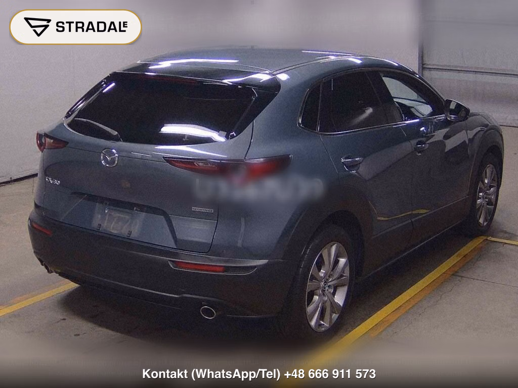 MAZDA CX-30 20S PROACTIVE TOURING SELECTION, miniaturka 6
