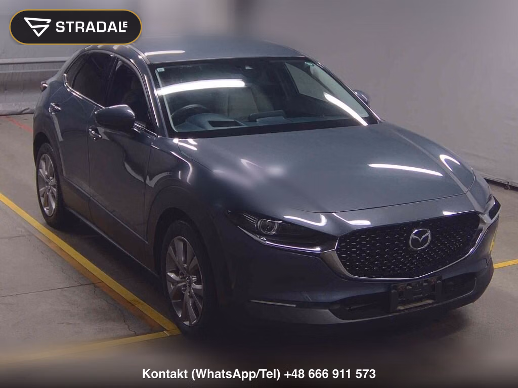 MAZDA CX-30 20S PROACTIVE TOURING SELECTION 2019, aukcja z Japonii, zdjęcie 1