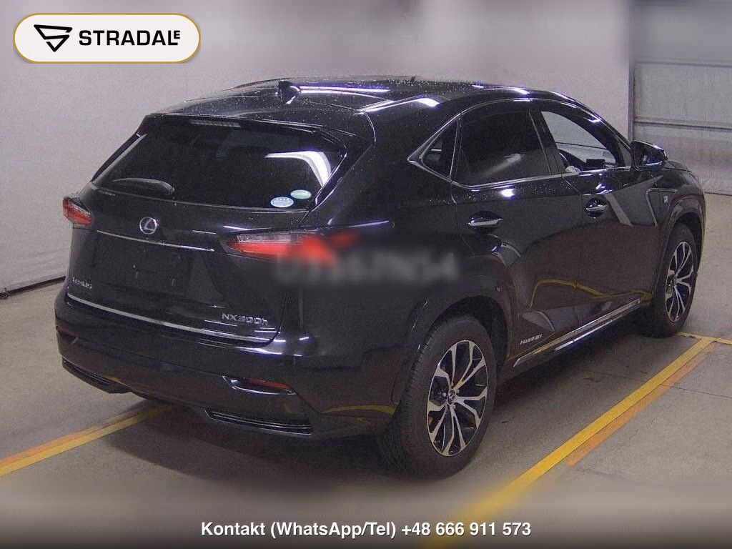 LEXUS NX NX300H F SPORT, miniaturka 6