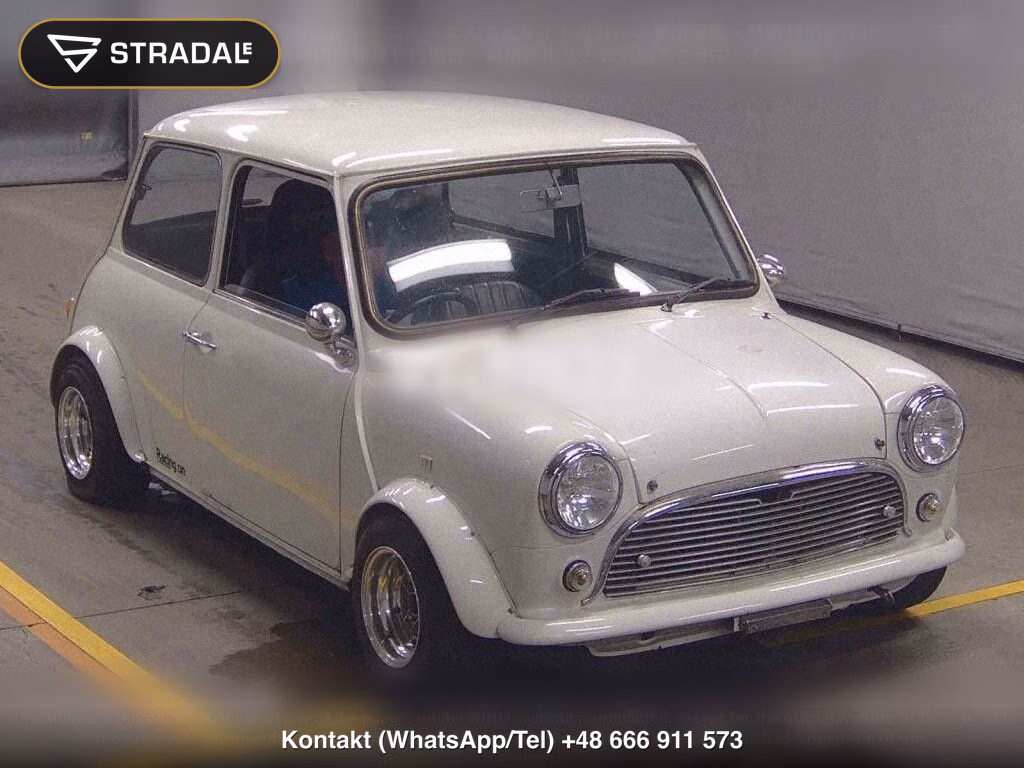 ROVER MINI 2D, miniaturka 2