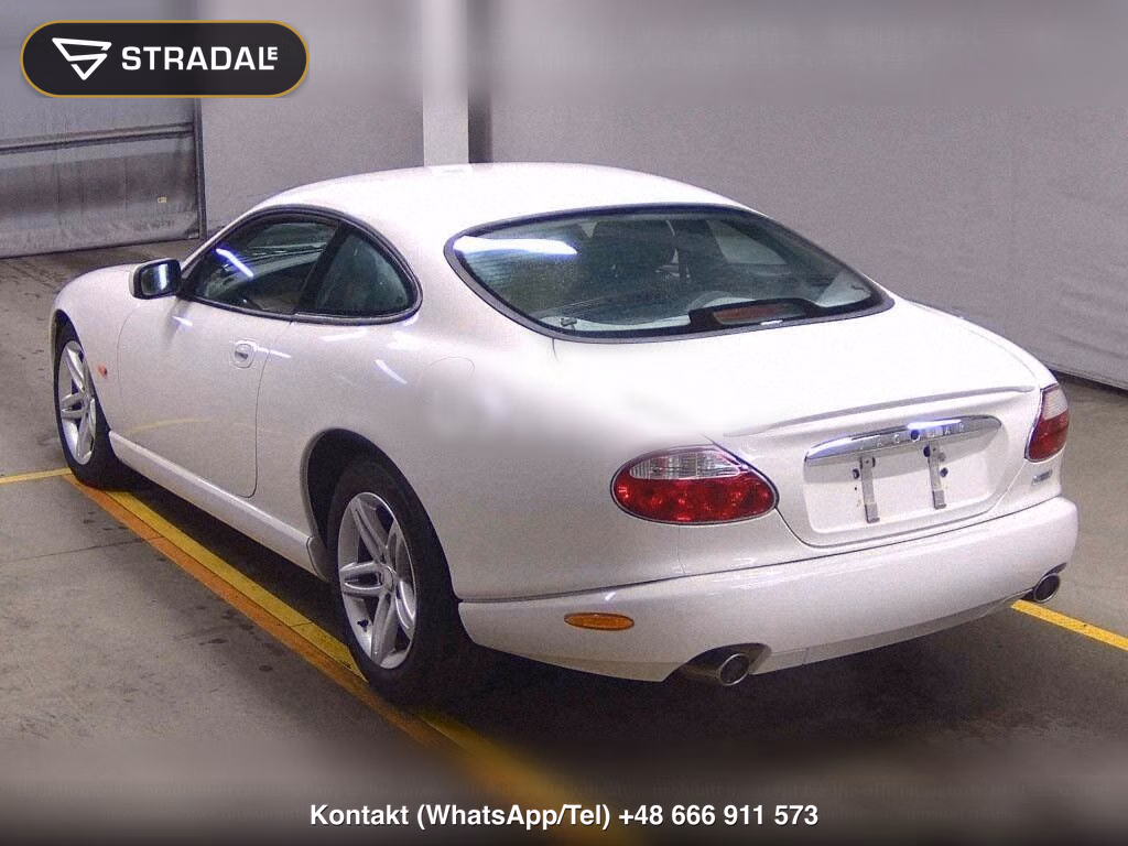 JAGUAR XK CP, miniaturka 3