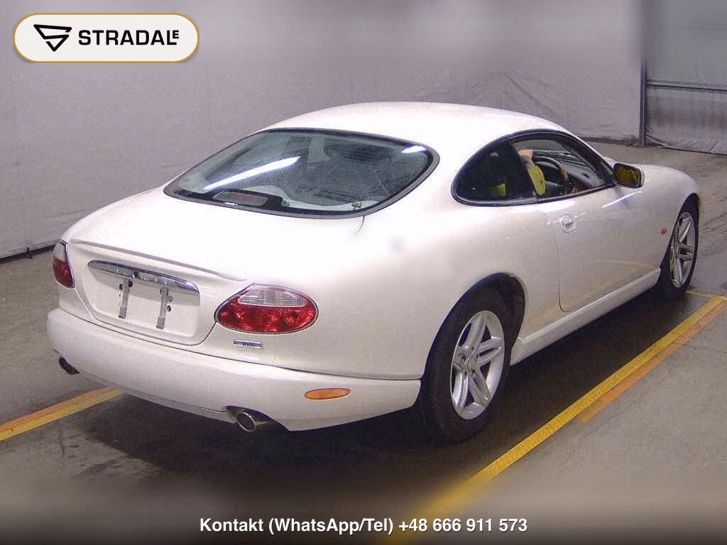 JAGUAR XK CP, miniaturka 6