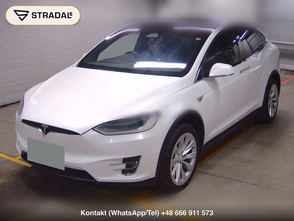 TESLA MODEL X 4WD 100D, miniaturka 5