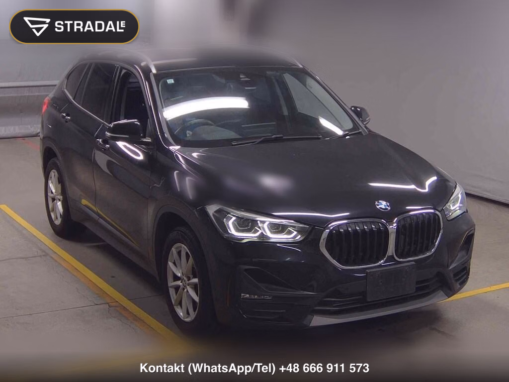 BMW X1 OTHERS 2019, aukcja z Japonii, zdjęcie 1