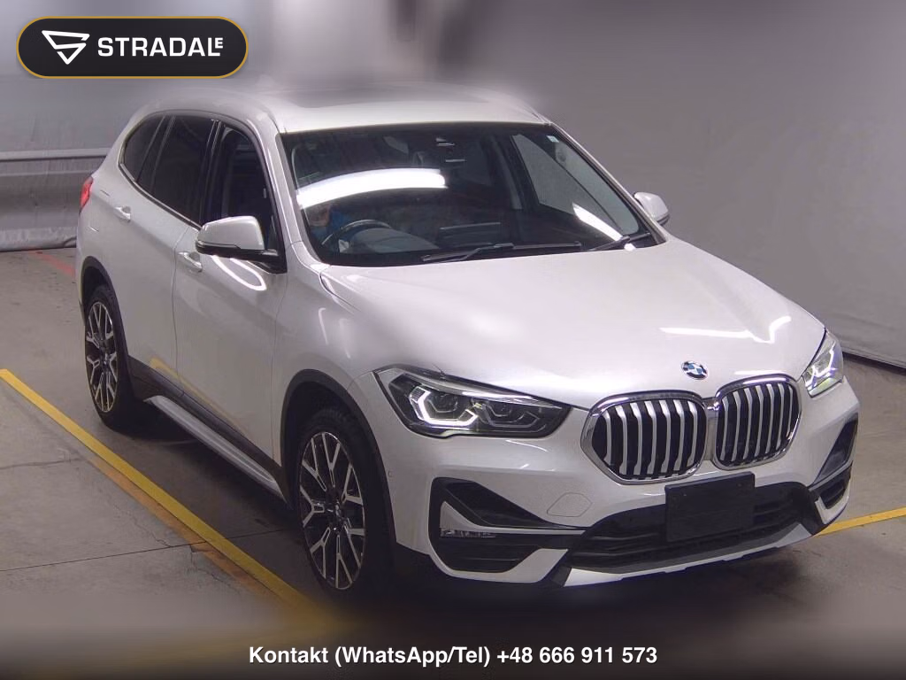 BMW X1 OTHERS 2019, aukcja z Japonii, zdjęcie 1
