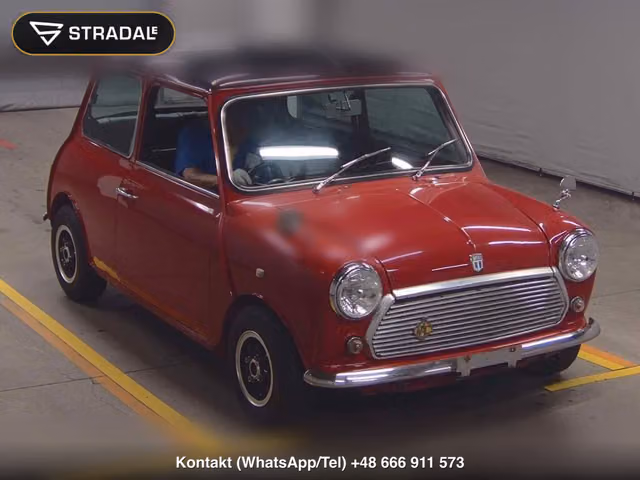 ROVER MINI 2D 1994, samochód z aukcji Japonii