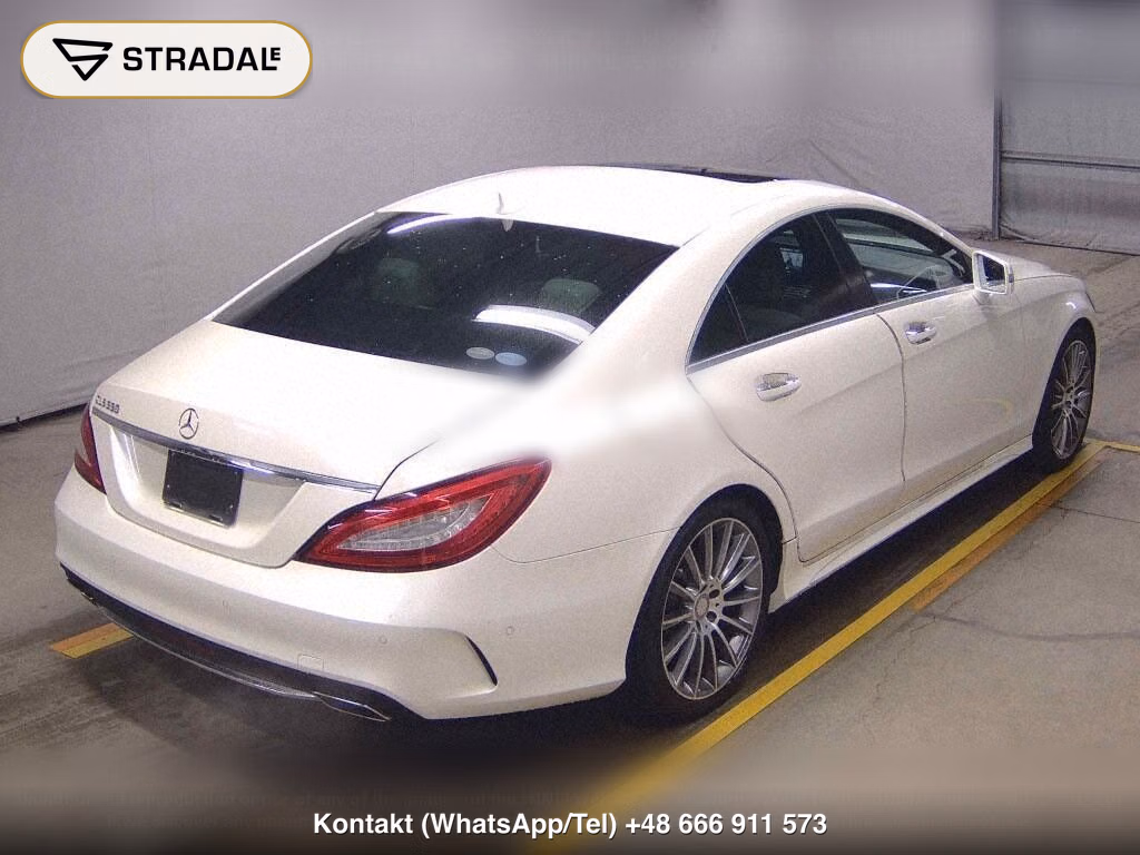 MERCEDES BENZ CLS-CLASS CLS550, miniaturka 6